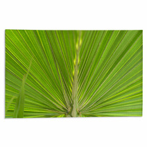 Green Palm Leaf Rugs 64322658