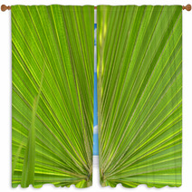Green Palm Leaf Window Curtains 64322658