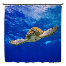 Green Sea Turtle Swimming In The Ocean Bath Decor 53210422