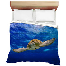 Green Sea Turtle Swimming In The Ocean Bedding 53210422