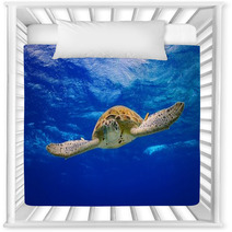 Green Sea Turtle Swimming In The Ocean Nursery Decor 53210422