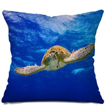 Green Sea Turtle Swimming In The Ocean Pillows 53210422