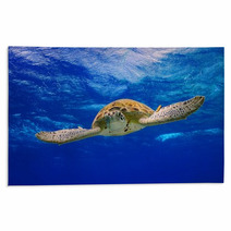 Green Sea Turtle Swimming In The Ocean Rugs 53210422