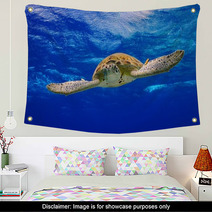 Green Sea Turtle Swimming In The Ocean Wall Art 53210422