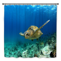 Green Sea Turtle Swimming Underwater Bath Decor 53249174