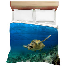 Green Sea Turtle Swimming Underwater Bedding 53249174