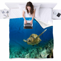 Green Sea Turtle Swimming Underwater Blankets 53249174