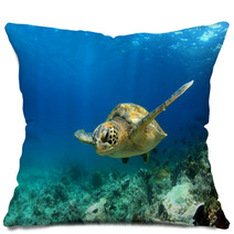 Green Sea Turtle Swimming Underwater Pillows 53249174