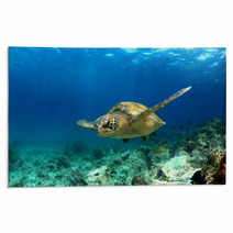 Green Sea Turtle Swimming Underwater Rugs 53249174