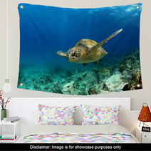 Green Sea Turtle Swimming Underwater Wall Art 53249174