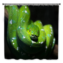 Green Snake Bath Decor 51878747