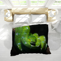 Green Snake Bedding 51878747