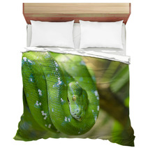 Green Snake Bedding 65006067