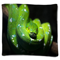 Green Snake Blankets 51878747