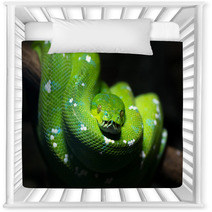 Green Snake Nursery Decor 51878747