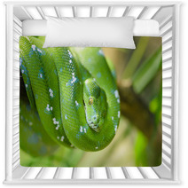 Green Snake Nursery Decor 65006067