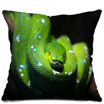 Green Snake Pillows 51878747