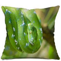 Green Snake Pillows 65006067