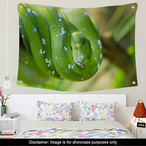 Green Snake Wall Art 65006067
