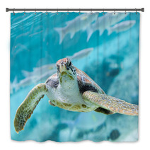 Green  Turtle (Chelonia Mydas) Swimming Bath Decor 70335141