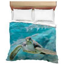 Green  Turtle (Chelonia Mydas) Swimming Bedding 70335141