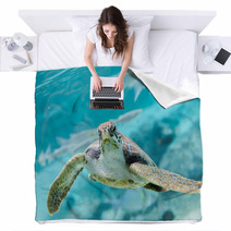 Green  Turtle (Chelonia Mydas) Swimming Blankets 70335141