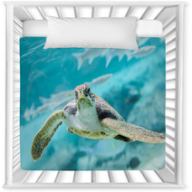 Green  Turtle (Chelonia Mydas) Swimming Nursery Decor 70335141