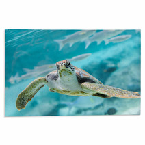 Green  Turtle (Chelonia Mydas) Swimming Rugs 70335141