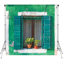 Green Window Backdrops 59919015