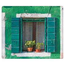 Green Window Rugs 59919015