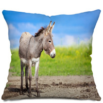 Grey Donkey In Field Pillows 53501022