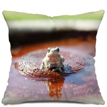 Grey Tree Frog Sitting In Bird Bath In Garden Pillows 84811985
