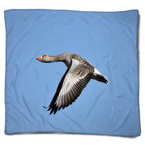 Greylag Goose (Anser Anser) Blankets 83085447