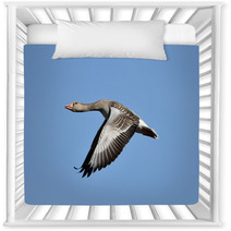 Greylag Goose (Anser Anser) Nursery Decor 83085447