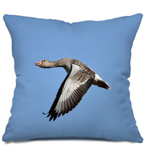 Greylag Goose (Anser Anser) Pillows 83085447