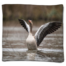 Greylag Goose Blankets 79648146