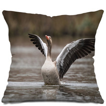 Greylag Goose Pillows 79648146