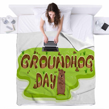 Groundhog Burrow Blankets 38280784