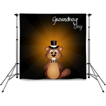 Groundhog Day Cute Ground Hog Cartoon Backdrops 73917166