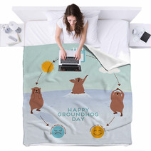 Groundhog Day Infographic With Cute Groundhogs Blankets 99216097