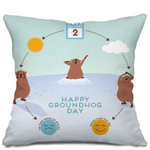 Groundhog Day Infographic With Cute Groundhogs Pillows 99216097