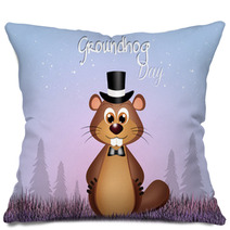 Groundhog Day Pillows 66773609