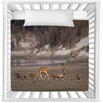 Group Of Animal Crossing River, Deer And Monkey Nursery Decor 55493208