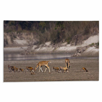Group Of Animal Crossing River, Deer And Monkey Rugs 55493208