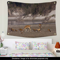 Group Of Animal Crossing River, Deer And Monkey Wall Art 55493208