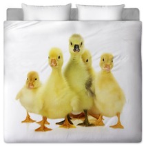 Group Of Ducklings On The White Background Bedding 66633938