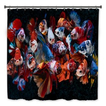 Group Of Fancy Koi Galaxy Betta Fishes Bath Decor 311164880