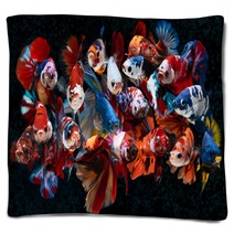 Group Of Fancy Koi Galaxy Betta Fishes Blankets 311164880