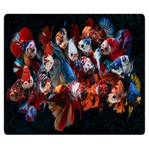 Group Of Fancy Koi Galaxy Betta Fishes Rugs 311164880