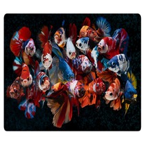 Group Of Fancy Koi Galaxy Betta Fishes Rugs 311164880